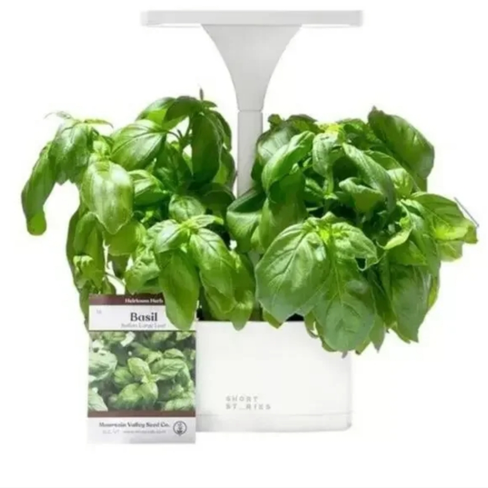 NWT Short Stories LED Indoor Planter